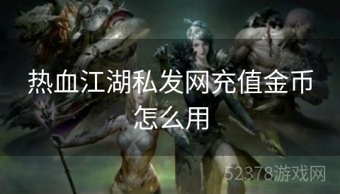 热血江湖私发网充值金币怎么用