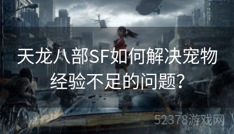 天龙八部SF如何解决宠物经验不足的问题？