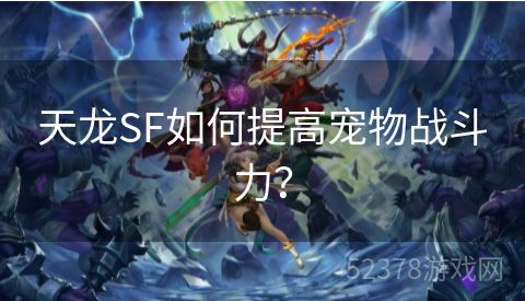 天龙SF如何提高宠物战斗力？