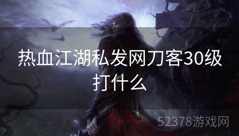 热血江湖私发网刀客30级打什么