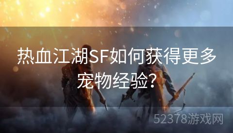 热血江湖SF如何获得更多宠物经验？