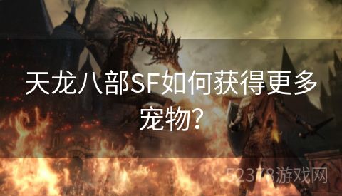 天龙八部SF如何获得更多宠物？