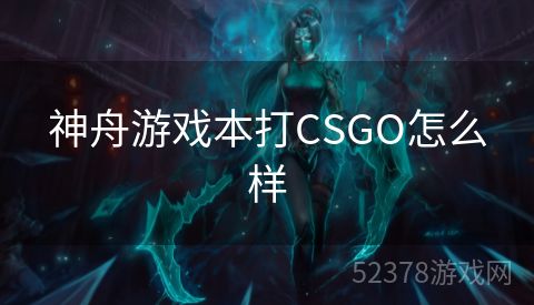 神舟游戏本打CSGO怎么样