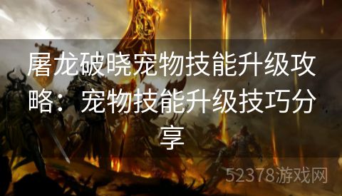 屠龙破晓宠物技能升级攻略：宠物技能升级技巧分享