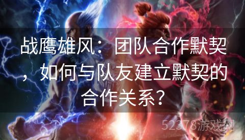 战鹰雄风：团队合作默契，如何与队友建立默契的合作关系？