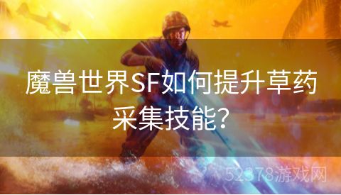 魔兽世界SF如何提升草药采集技能？