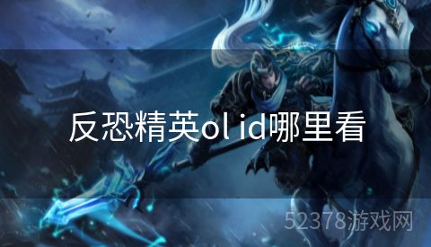 反恐精英ol id哪里看