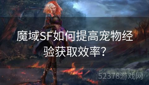 魔域SF如何提高宠物经验获取效率？