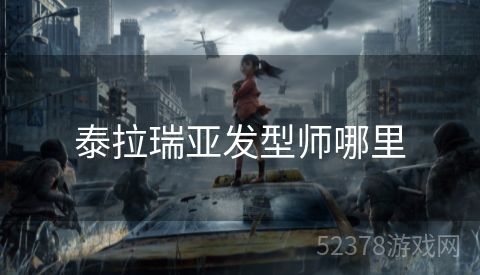 泰拉瑞亚发型师哪里