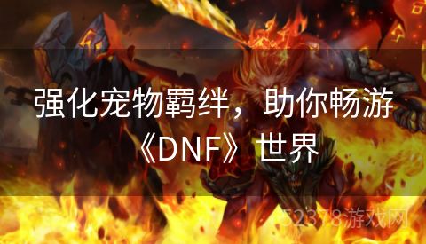 强化宠物羁绊，助你畅游《DNF》世界