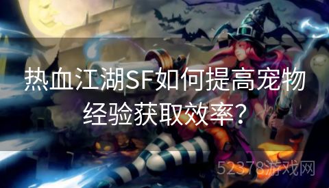 热血江湖SF如何提高宠物经验获取效率？