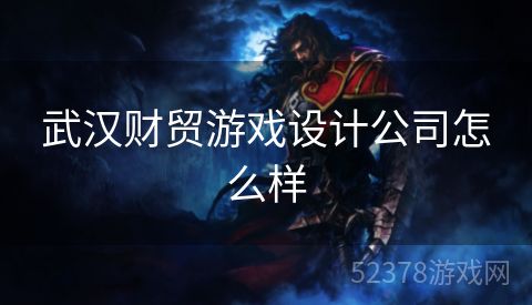 武汉财贸游戏设计公司怎么样