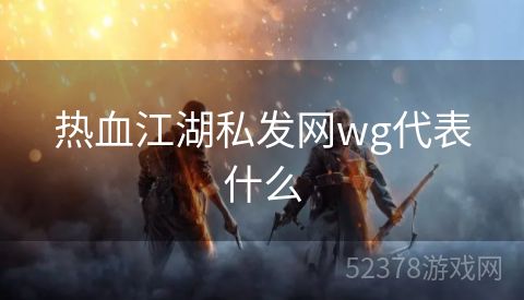 热血江湖私发网wg代表什么