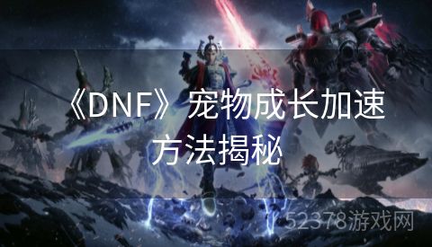  《DNF》宠物成长加速方法揭秘