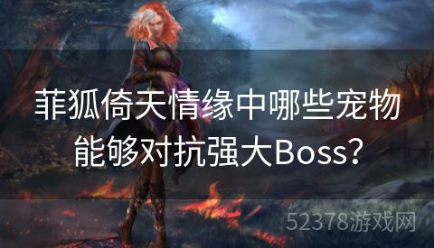 菲狐倚天情缘中哪些宠物能够对抗强大Boss？