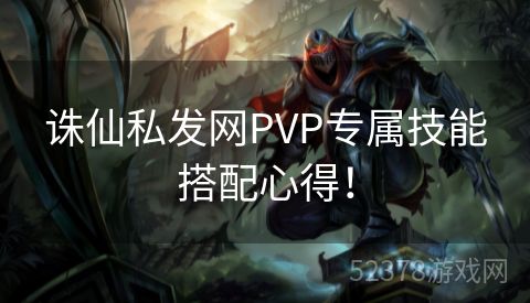 诛仙私发网PVP专属技能搭配心得！