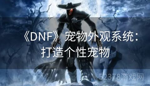 《DNF》宠物外观系统：打造个性宠物