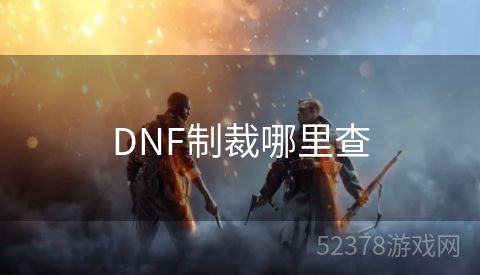 DNF制裁哪里查