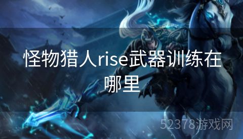 怪物猎人rise武器训练在哪里