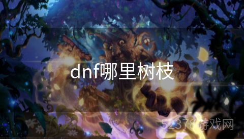 dnf哪里树枝