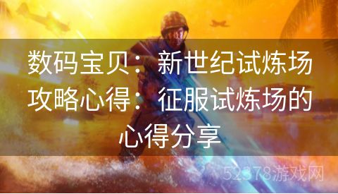 数码宝贝：新世纪试炼场攻略心得：征服试炼场的心得分享