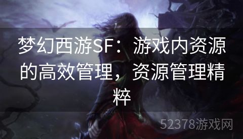 梦幻西游SF：游戏内资源的高效管理，资源管理精粹