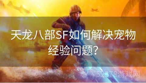 天龙八部SF如何解决宠物经验问题？