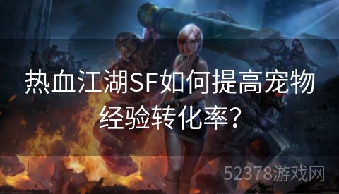 热血江湖SF如何提高宠物经验转化率？