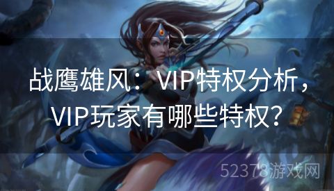 战鹰雄风：VIP特权分析，VIP玩家有哪些特权？