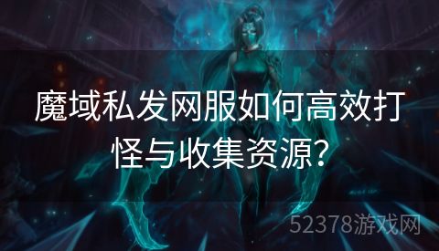 魔域私发网服如何高效打怪与收集资源？