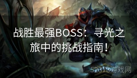 战胜最强BOSS：寻光之旅中的挑战指南！