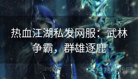 热血江湖私发网服：武林争霸，群雄逐鹿