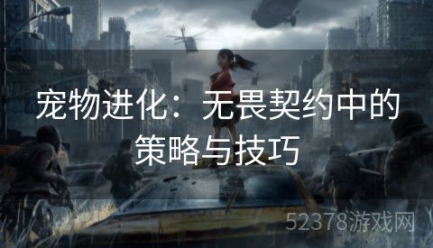 宠物进化：无畏契约中的策略与技巧