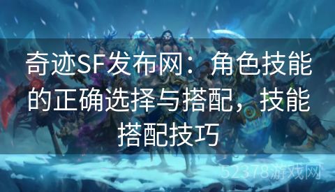 奇迹SF发布网：角色技能的正确选择与搭配，技能搭配技巧