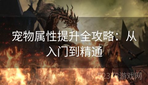 宠物属性提升全攻略：从入门到精通