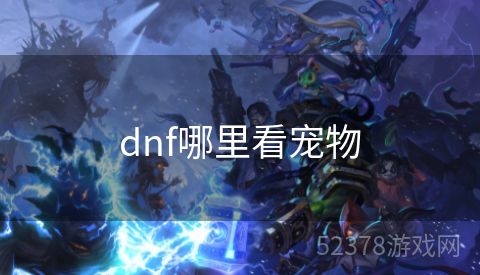 dnf哪里看宠物