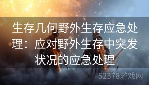 生存几何野外生存应急处理：应对野外生存中突发状况的应急处理