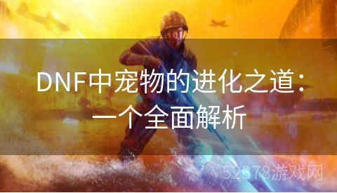 DNF中宠物的进化之道：一个全面解析