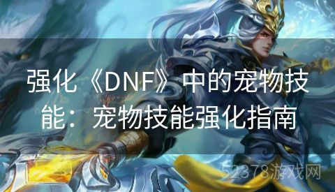 强化《DNF》中的宠物技能：宠物技能强化指南