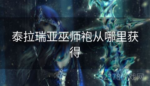 泰拉瑞亚巫师袍从哪里获得