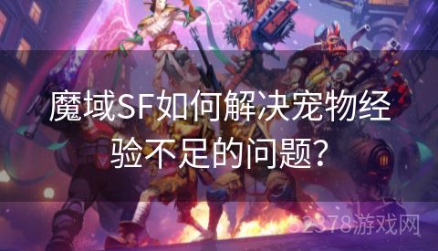 魔域SF如何解决宠物经验不足的问题？