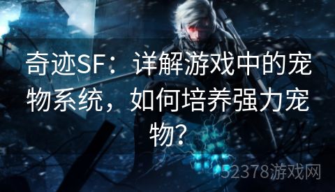 奇迹SF：详解游戏中的宠物系统，如何培养强力宠物？