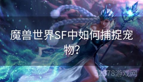 魔兽世界SF中如何捕捉宠物？