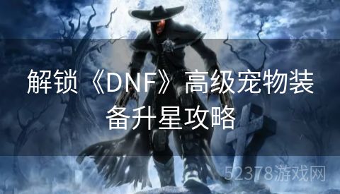 解锁《DNF》高级宠物装备升星攻略