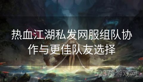 热血江湖私发网服组队协作与更佳队友选择