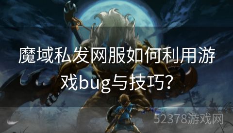 魔域私发网服如何利用游戏bug与技巧？