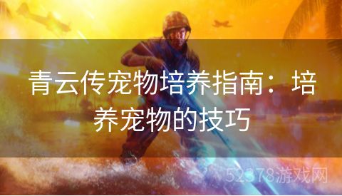 青云传宠物培养指南：培养宠物的技巧