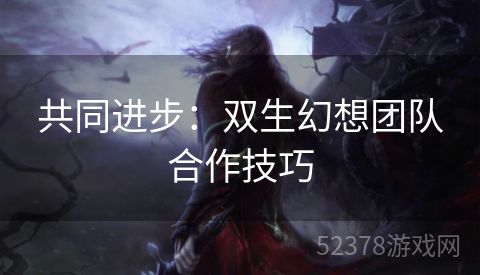 共同进步：双生幻想团队合作技巧