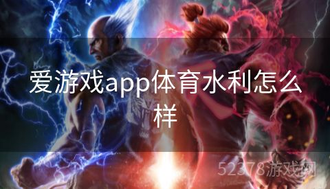 爱游戏app体育水利怎么样