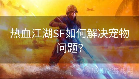 热血江湖SF如何解决宠物问题？